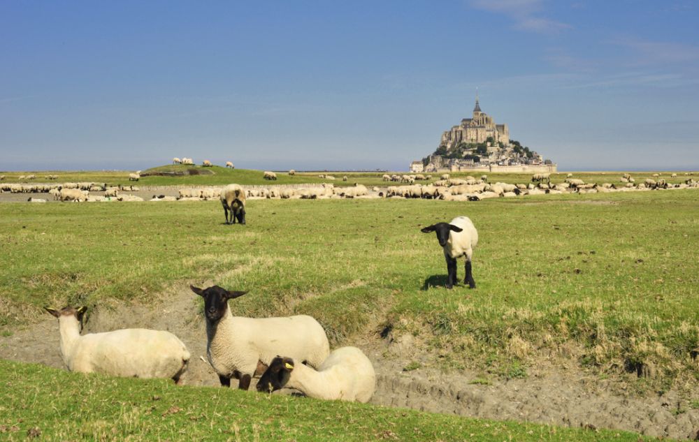 visiter la bretagne en famille